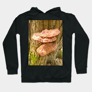 Beefsteak Fungus Hoodie